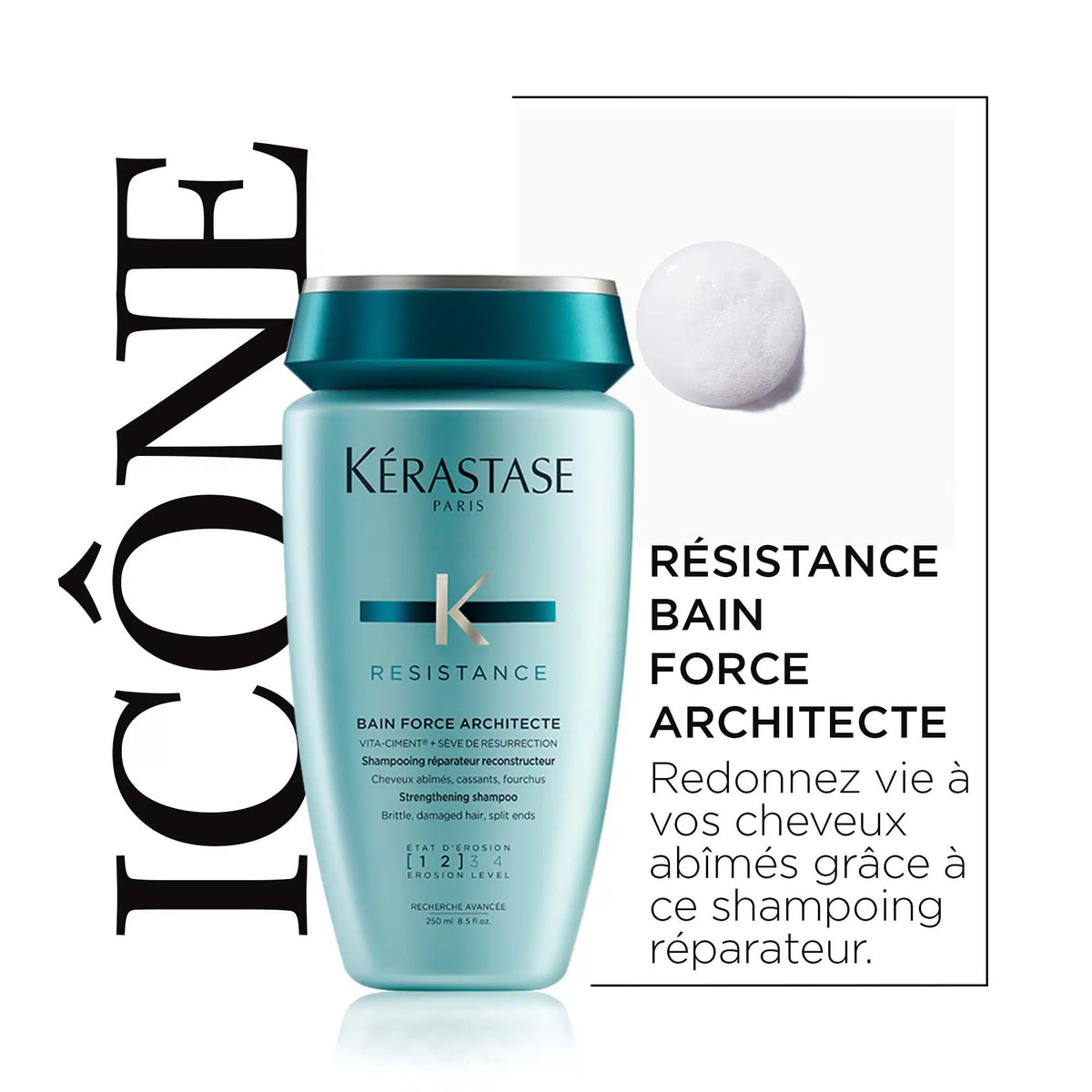 Bain Force Architecte