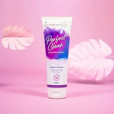 Shampooing Perfect Clean 250ml